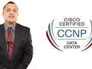 CCNP Data Center - Introduction, Job Roles