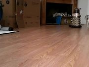 Dalek vs. Husky