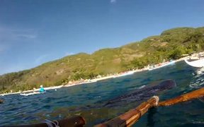 Oslob Whale Shark Watching - Animals - VIDEOTIME.COM