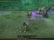 Monster Hunter Online - Purple Gypceros Combat