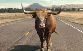 Lincoln Campaign: Matthew McConaughey 'Bull' - Commercials - VIDEOTIME.COM