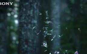 Sony Commercial: Ice Bubbles in 4K - Commercials - VIDEOTIME.COM