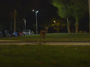 Canon Commercial: Urban Deer