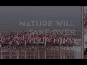 Nat Geo Campaign: Animals vs. Humans
