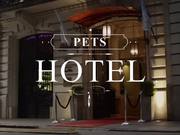 Atrapalo Commercial: Pets Hotel