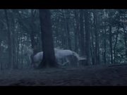 Canal+ Commercial: Unicorns