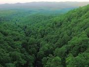 Amicalola as Drone Sees It
