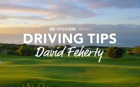 Hyundai: Driving Tips with David Feherty Form