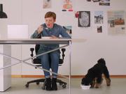 Labamba Commercial: Office Dog