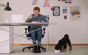 Labamba Commercial: Office Dog - Commercials - VIDEOTIME.COM