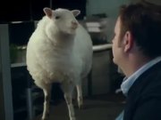TD Ameritrade Commercial: Lamb
