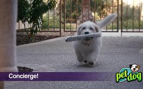 Animal Foundation Campaign: Pets: Dog - Commercials - VIDEOTIME.COM