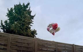 Specsavers Commercial: Teddy in Space