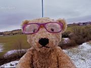 Launching a Teddy into Space - Specsavers