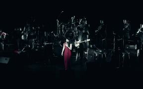 Shaolin Fez LIVE: “SKYFALL” (Adele Cover)