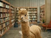 McVitie’s Commercial: Alpaca