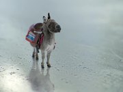 GE Commercial: Invention Donkey