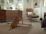 LG Commercial: Funny Cats and Dogs