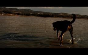Asomarte Tv Pet Friendly - Animals - VIDEOTIME.COM