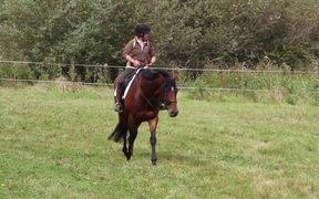 Tacksi and Michelle Grimmer Training - Sports - VIDEOTIME.COM