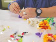 ‘LEGO Becomes Flower’ Campaign