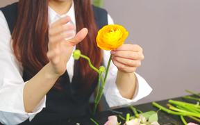 ‘LEGO Becomes Flower’ Campaign - Commercials - VIDEOTIME.COM