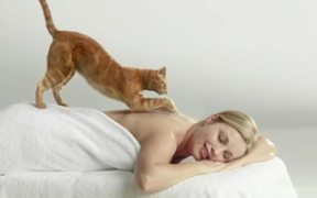 Cats Pride “Massage” - Commercials - VIDEOTIME.COM
