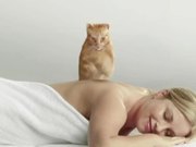 Cats Pride “Massage”