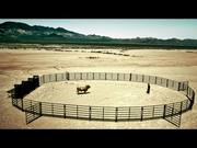PBR Commercial