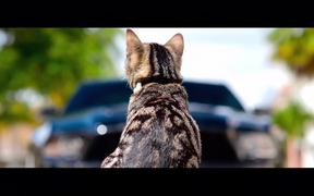 Shelby Mustang Commercial
