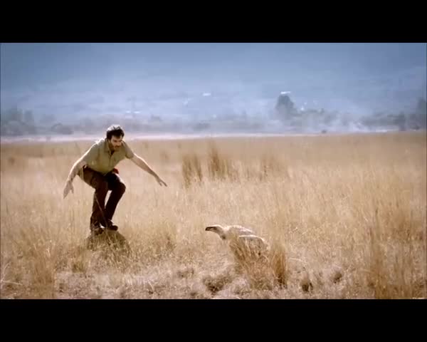 Mazda “Wildlife Fund” - Commercials - Videotime.com