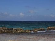 Explore Bonaire with Waterlogged Production