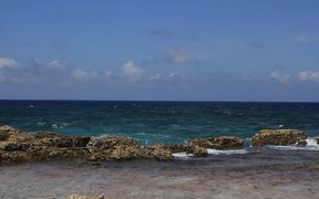 Explore Bonaire with Waterlogged Production - Fun - VIDEOTIME.COM