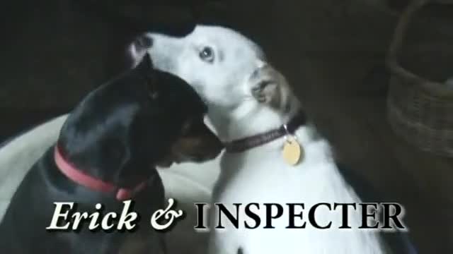 Inspecter and Erick