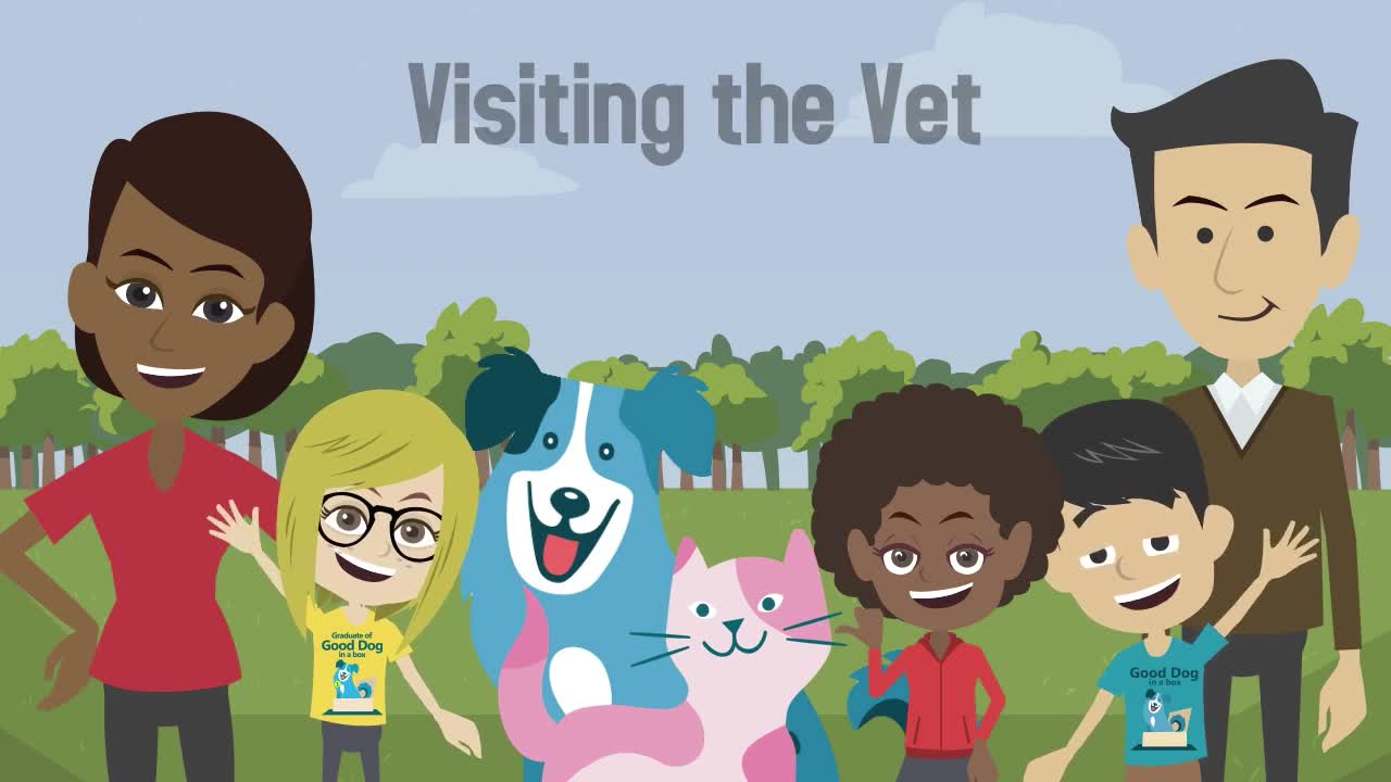 Being a Responsible Pet Owner: Visiting the Vet