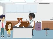 Being a Responsible Pet Owner: Visiting the Vet