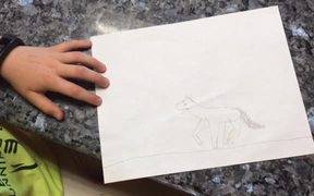 How to Draw a Cantering Horse