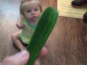 How to Get Your Kids to Enjoy Eating Vegetables