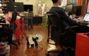 Makedo + littleBits Elephant - Fun - VIDEOTIME.COM