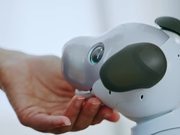 Sony Revives Aaibo the Robot Dog