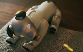 Sony Revives Aaibo the Robot Dog - Tech - VIDEOTIME.COM