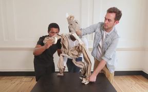 Make Your Own Chimp Puppet - Fun - VIDEOTIME.COM