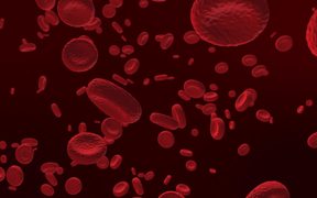 Red Blood Cells - Tech - VIDEOTIME.COM