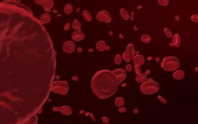 Red Blood Cells - Tech - Videotime.com