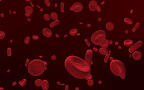 Red Blood Cells - Tech - VIDEOTIME.COM