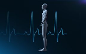 Human Medical Background - Loopable - Tech - Videotime.com
