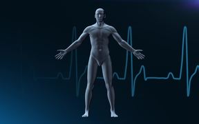 Human Medical Background - Loopable - Tech - VIDEOTIME.COM
