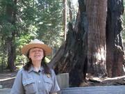 SKCNP: General Grant Tree Trail Virtual Tour