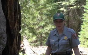 SKCNP: Redwood Mountain Virtual Tour Part 2 - Fun - VIDEOTIME.COM
