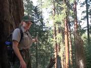 SKCNP: Redwood Mountain Virtual Tour Part 1